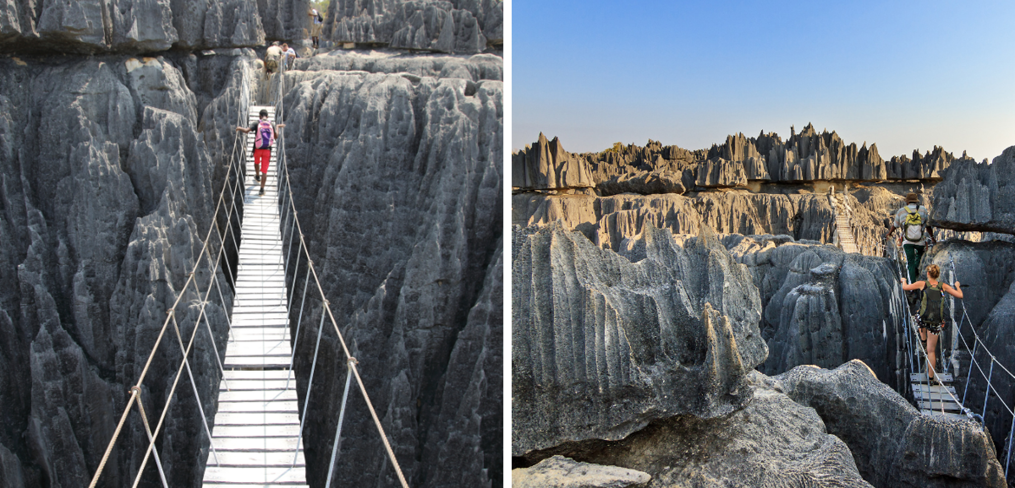 Arpentez le parc et ses pont suspendus
