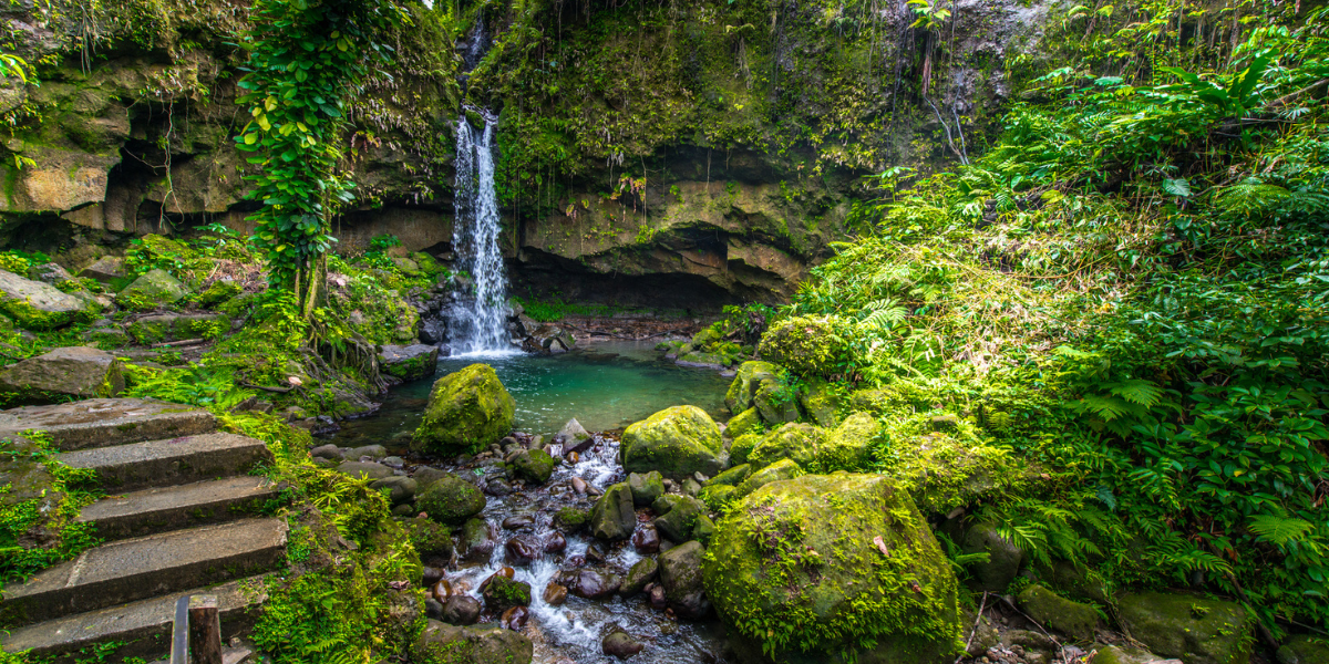 Entre cascades luxuriantes... 