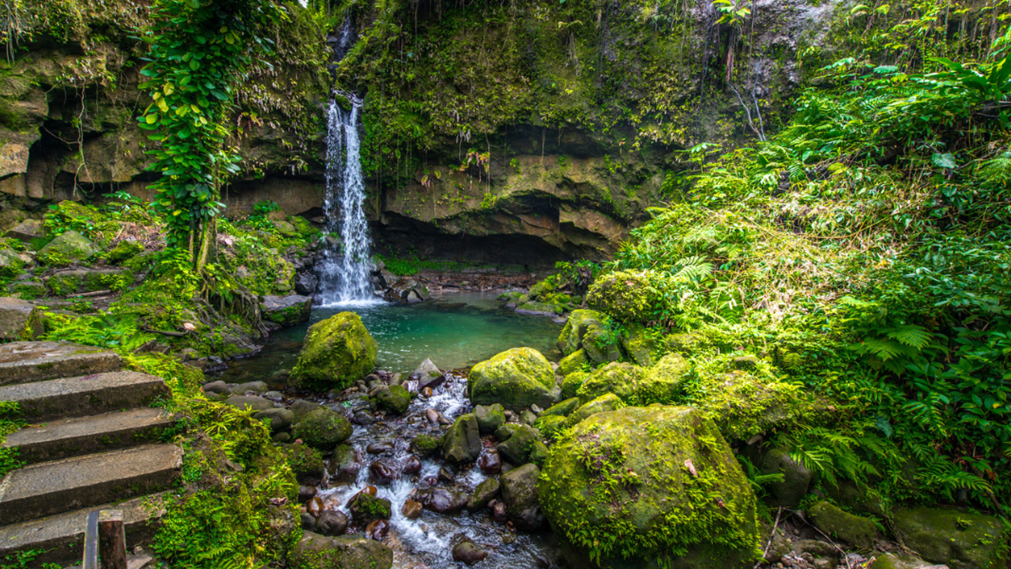 Entre cascades luxuriantes...