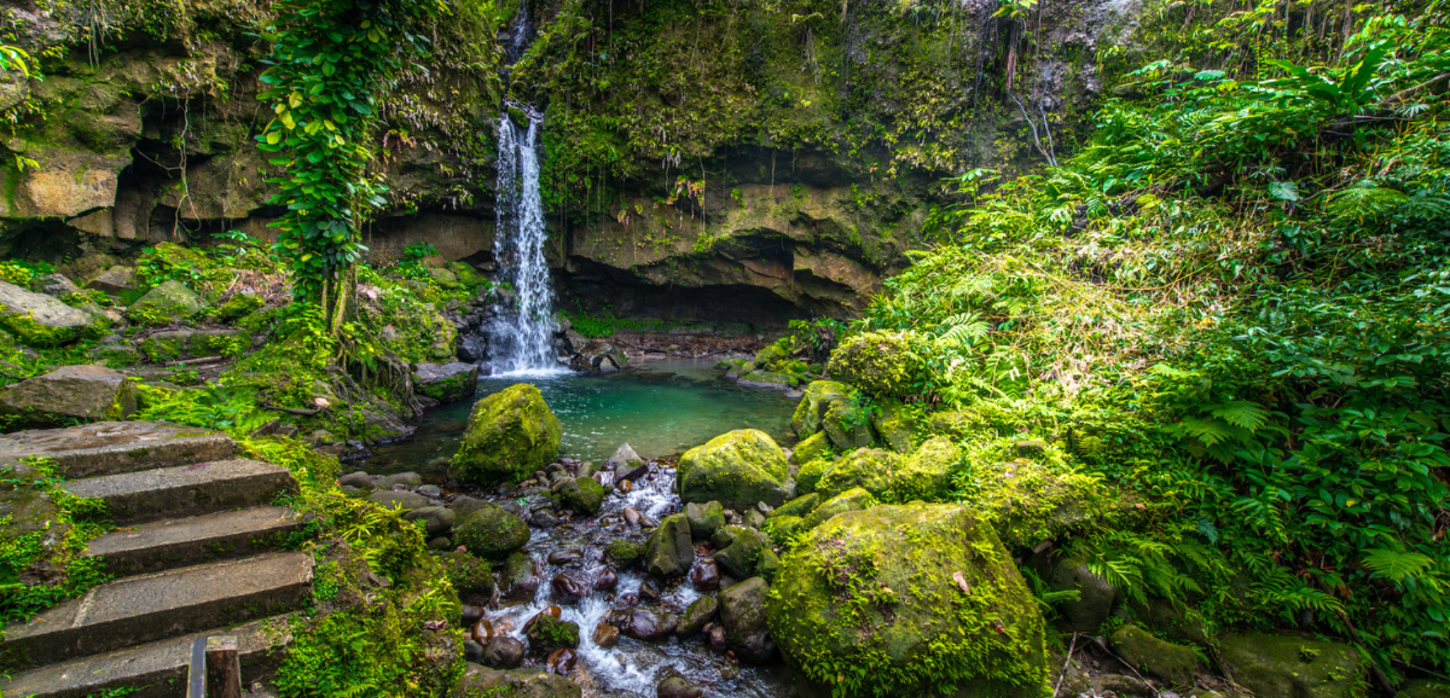 Entre cascades luxuriantes...