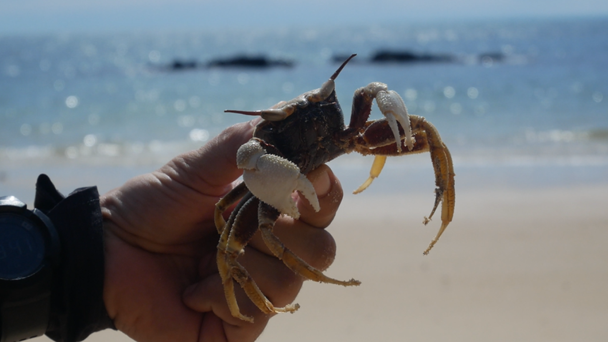 Les célèbres crabes de Kep - jour 3