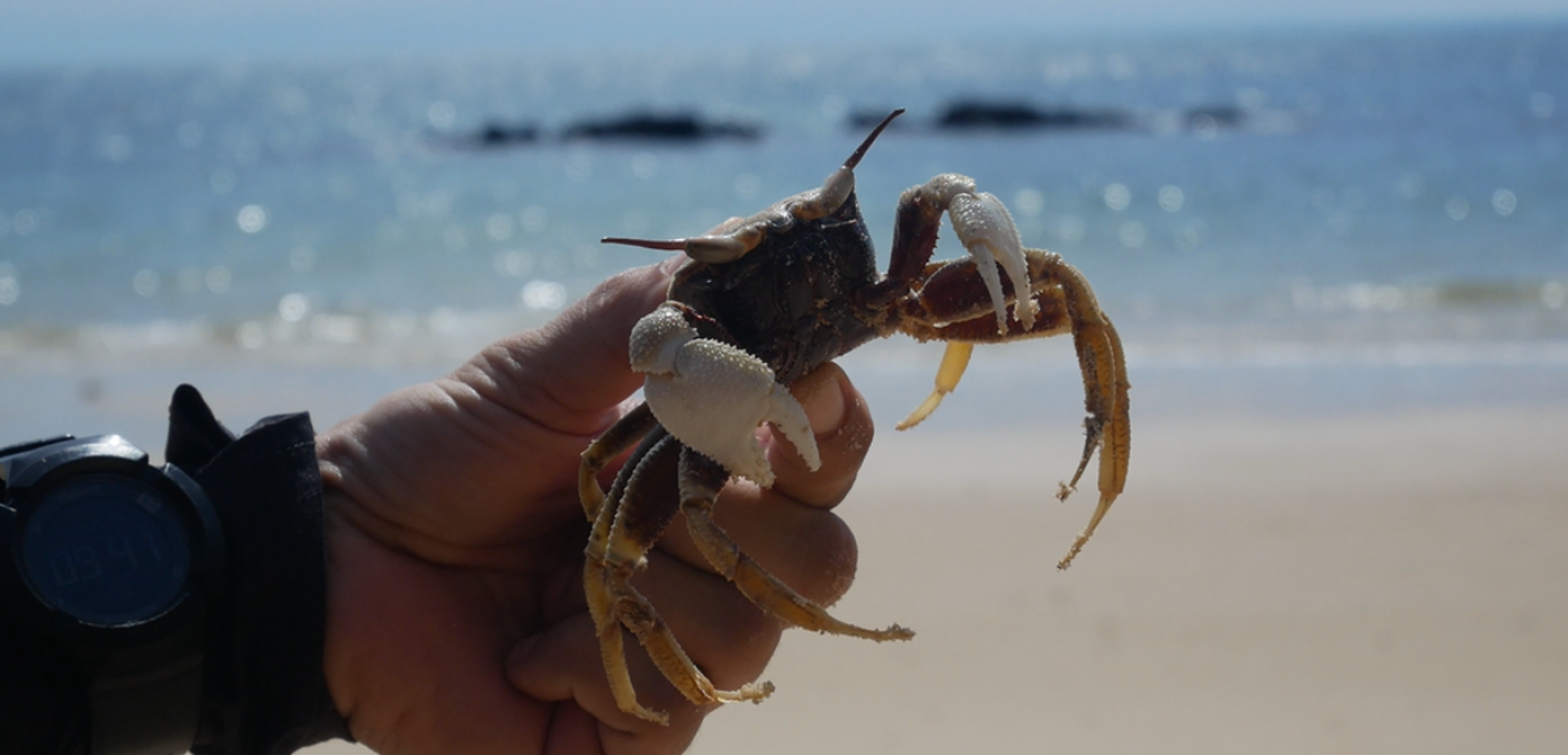 Les célèbres crabes de Kep - jour 3