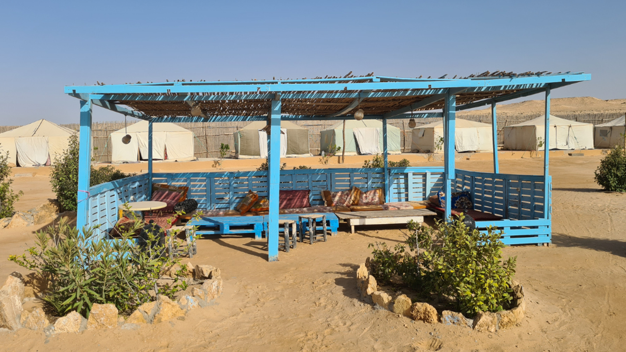 Avant de se détendre au camp