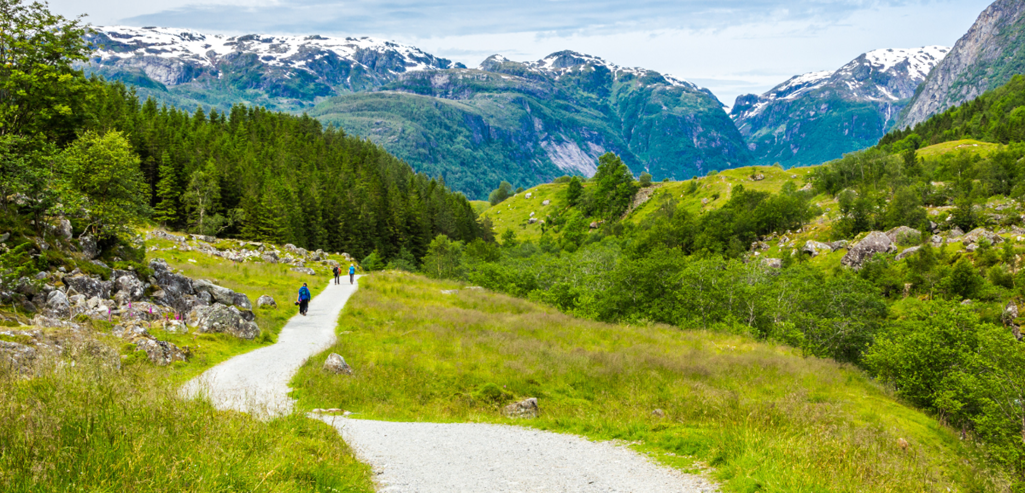 Et découvrez le parc national de Folgefonna