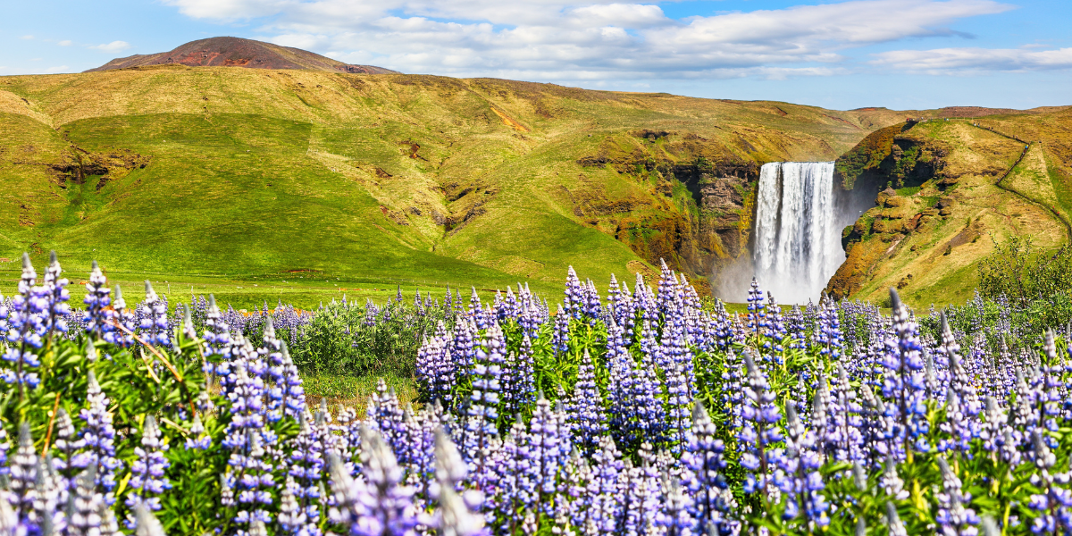 Bienvenue en Islande ! 
