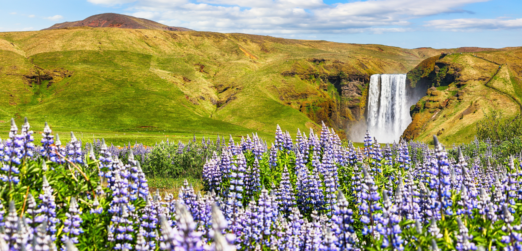 Bienvenue en Islande !