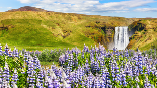Bienvenue en Islande !