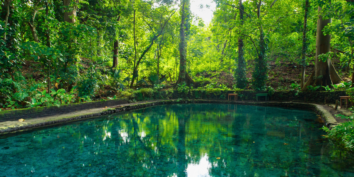 Un petit plouf rafraîchissant dans l'eau cristalline d'Ojo de Agua, ça vous tente ? (entrée non incluse 3$ par personne) 