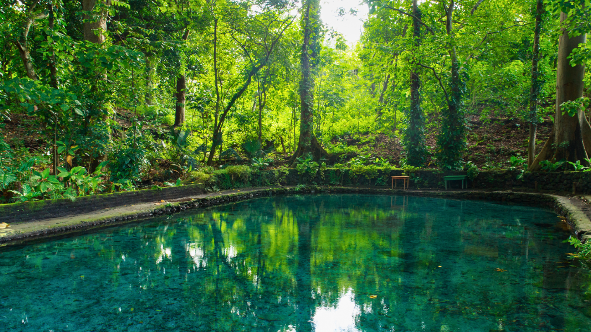 Un petit plouf rafraîchissant dans l'eau cristalline d'Ojo de Agua, ça vous tente ? (entrée non incluse 3$ par personne)