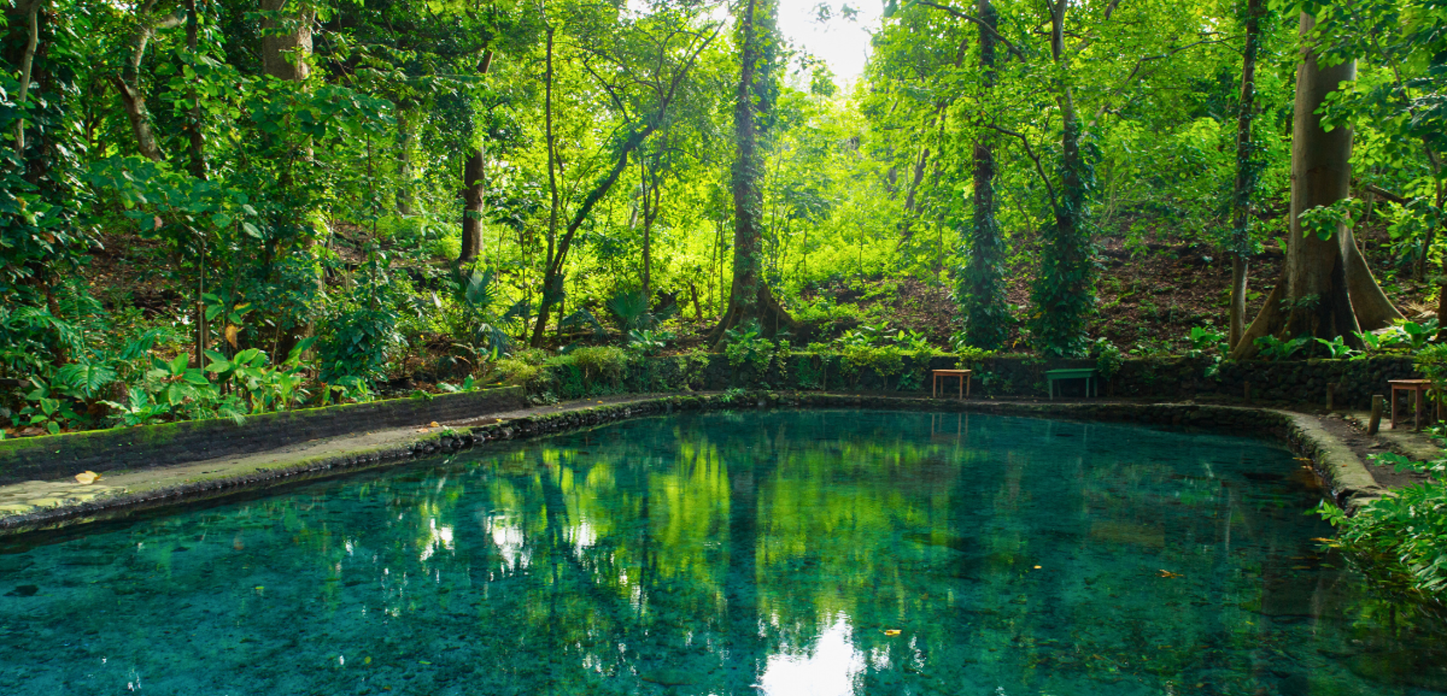Un petit plouf rafraîchissant dans l'eau cristalline d'Ojo de Agua, ça vous tente ? (entrée non incluse 3$ par personne)