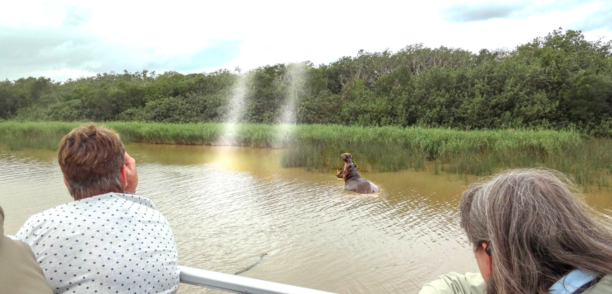 En bateau sur l'estuaire de Sainte Lucia