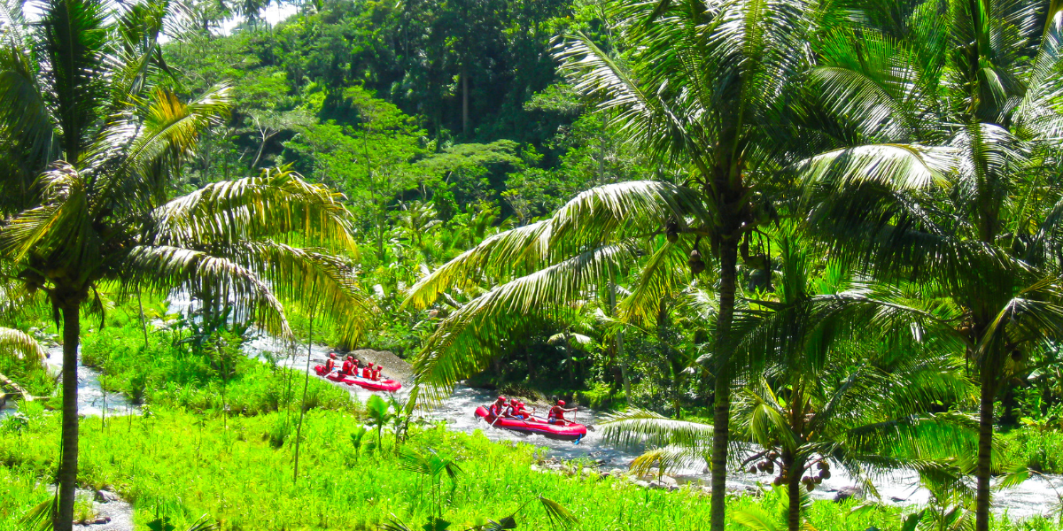 Et faites le plein de sensations en rafting 