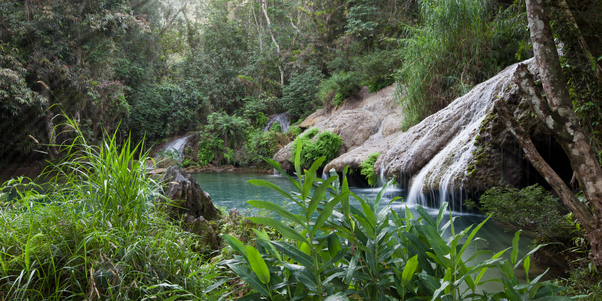 Sierra Rosario Biosphere Reserve, Pinar del Río, Cuba 