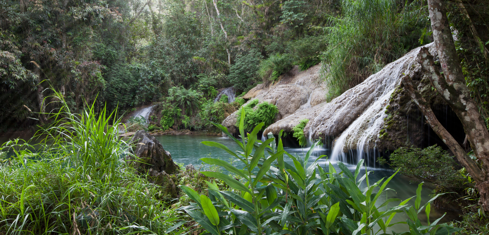Sierra Rosario Biosphere Reserve, Pinar del Río, Cuba