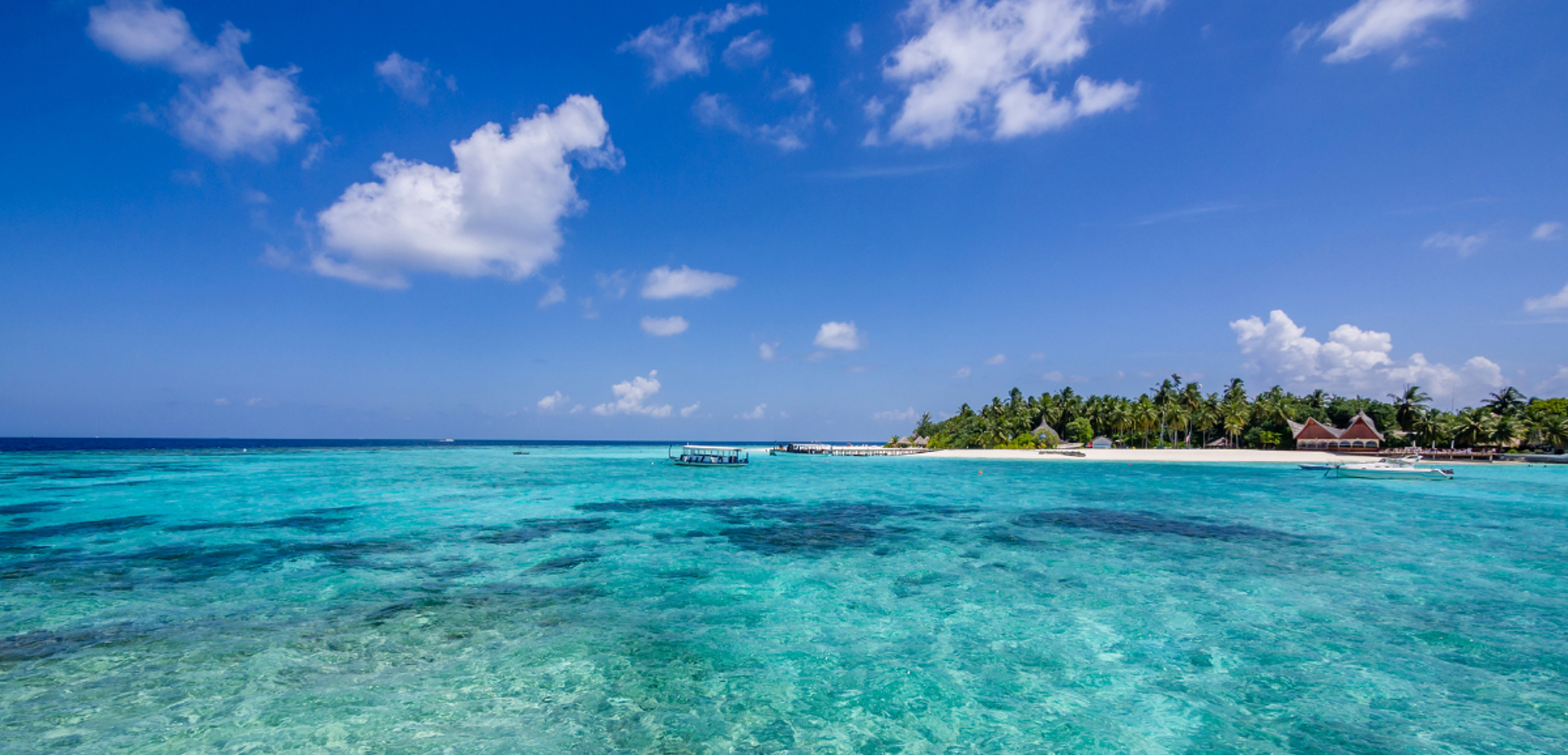 Dans des paysages idylliques