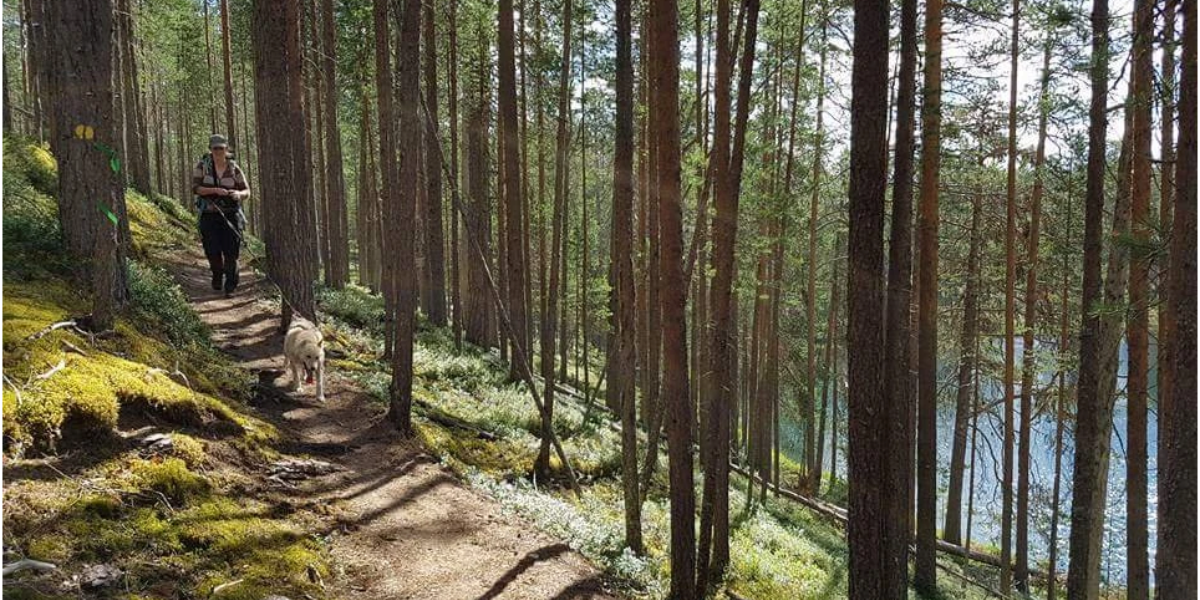 Complicité avec vos compagnons à 4 pattes