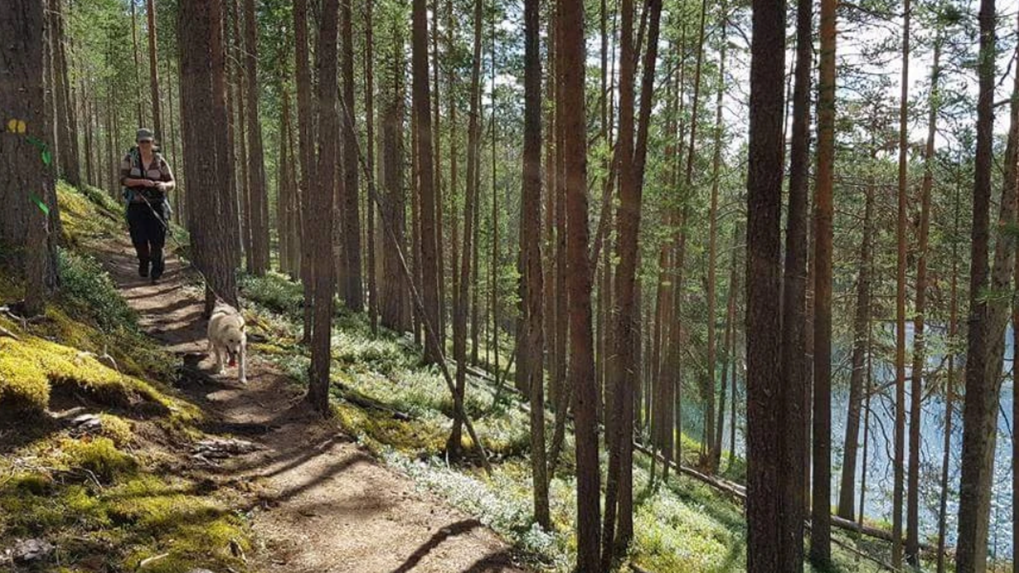 Complicité avec vos compagnons à 4 pattes