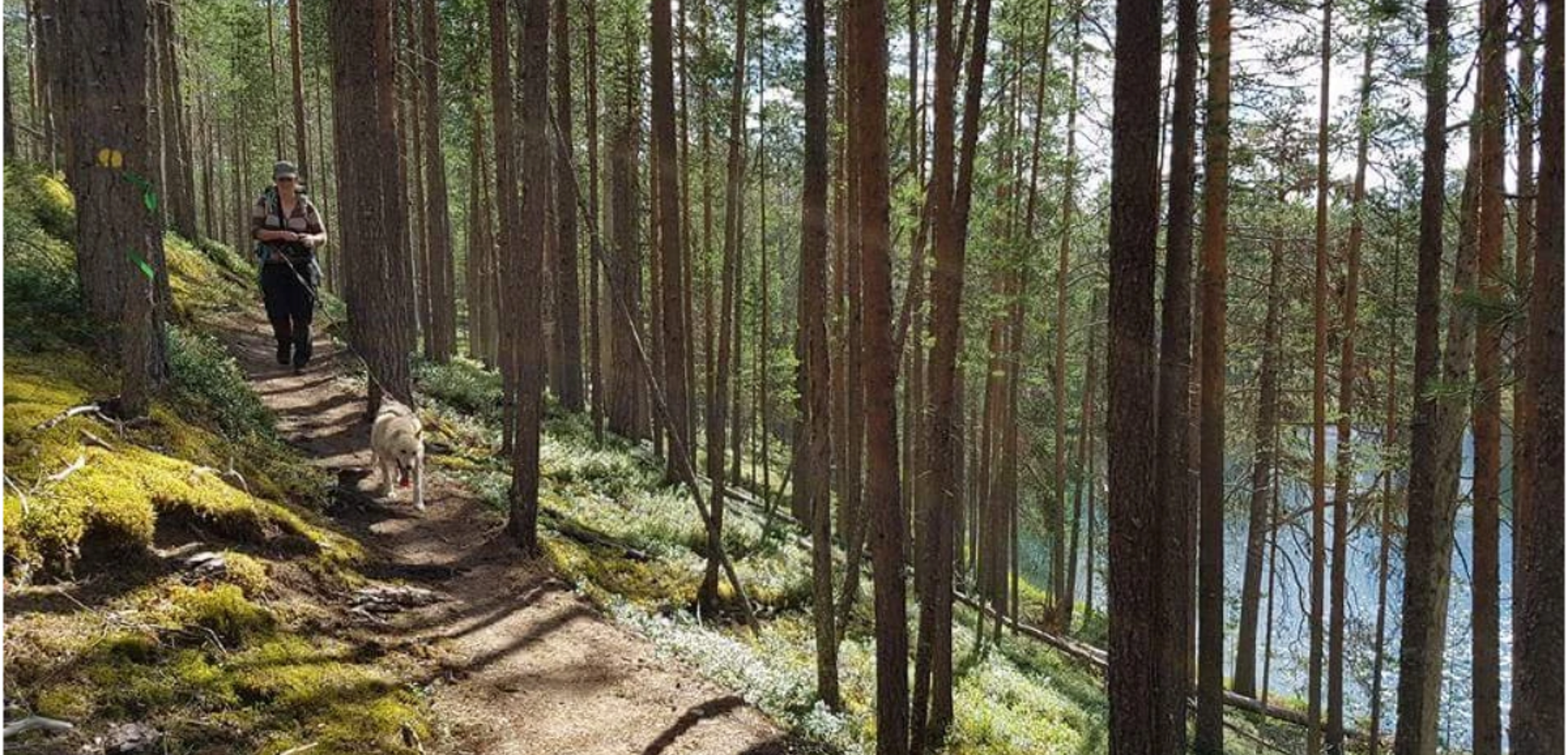 Complicité avec vos compagnons à 4 pattes