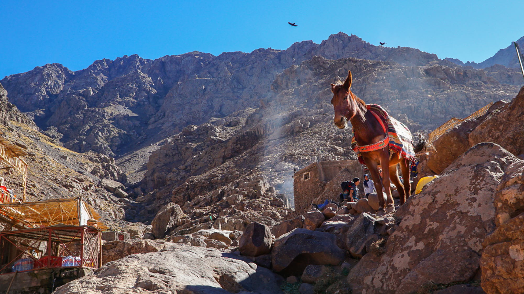 Trek du Mont Toubkal, Maroc