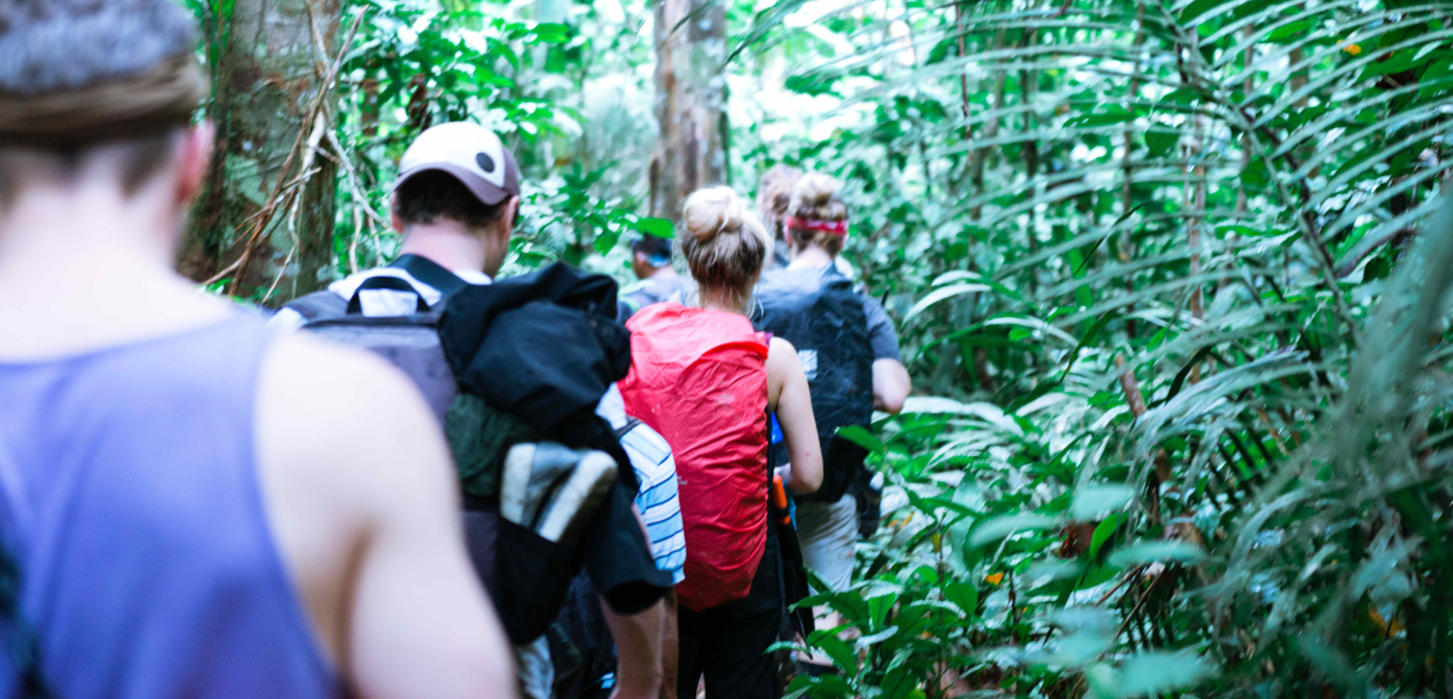 Enfilez vos chaussures de marche pour plonger dans la jungle