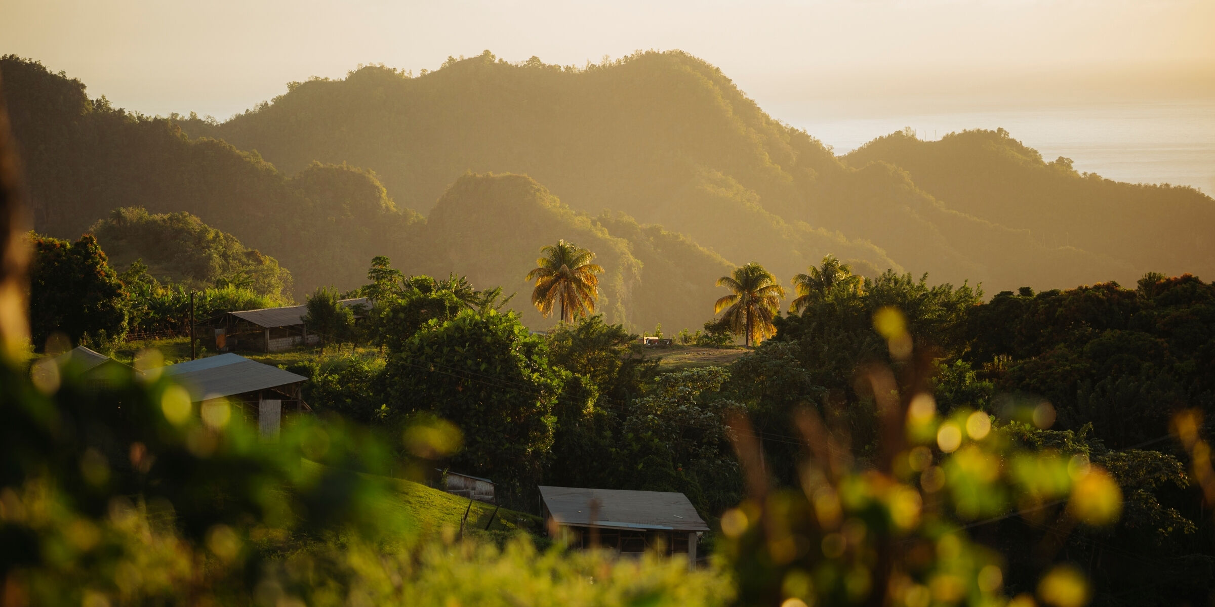 Sainte-Lucie ©Julien Fabro