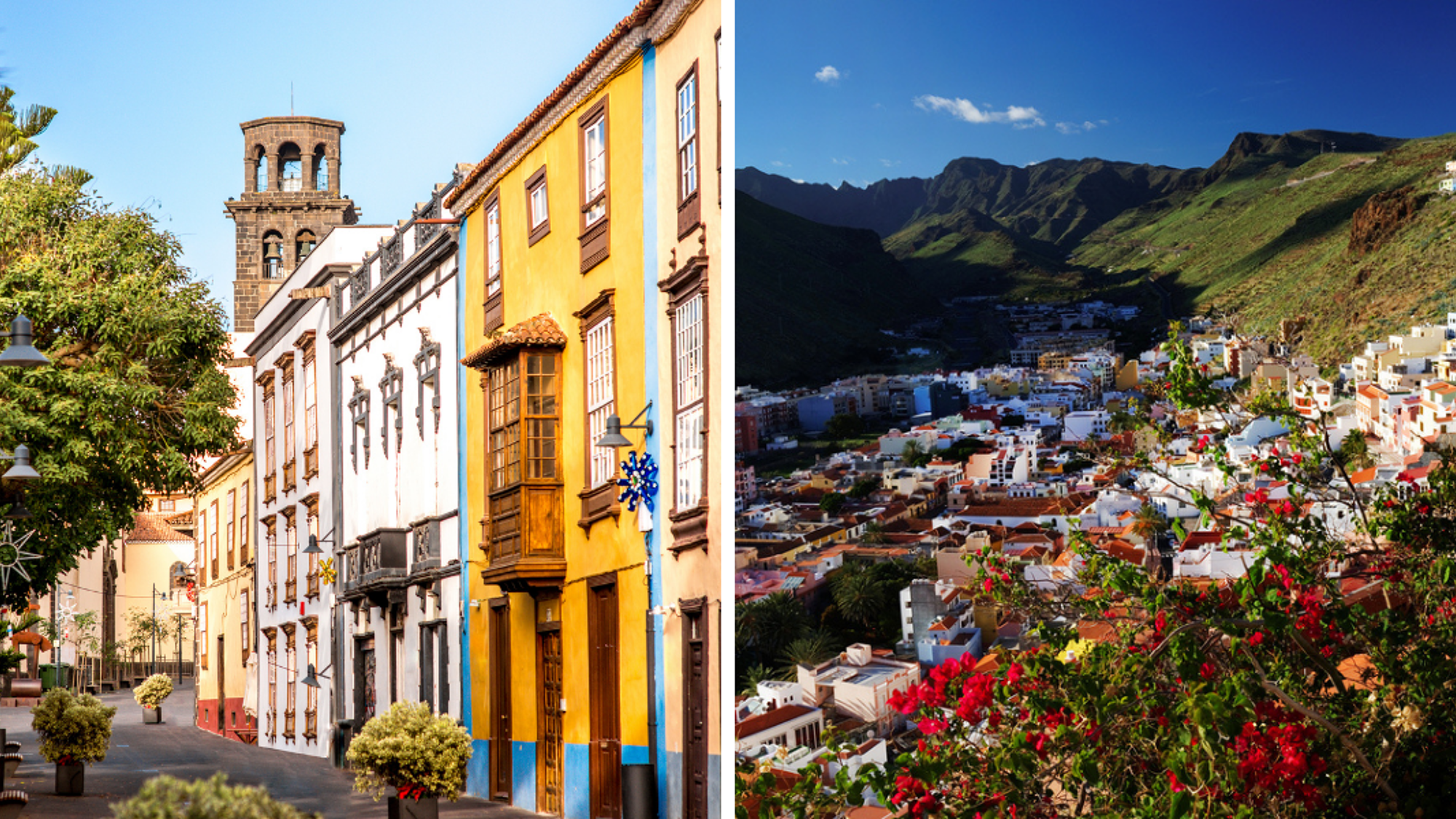 Aux couleurs éclatantes !