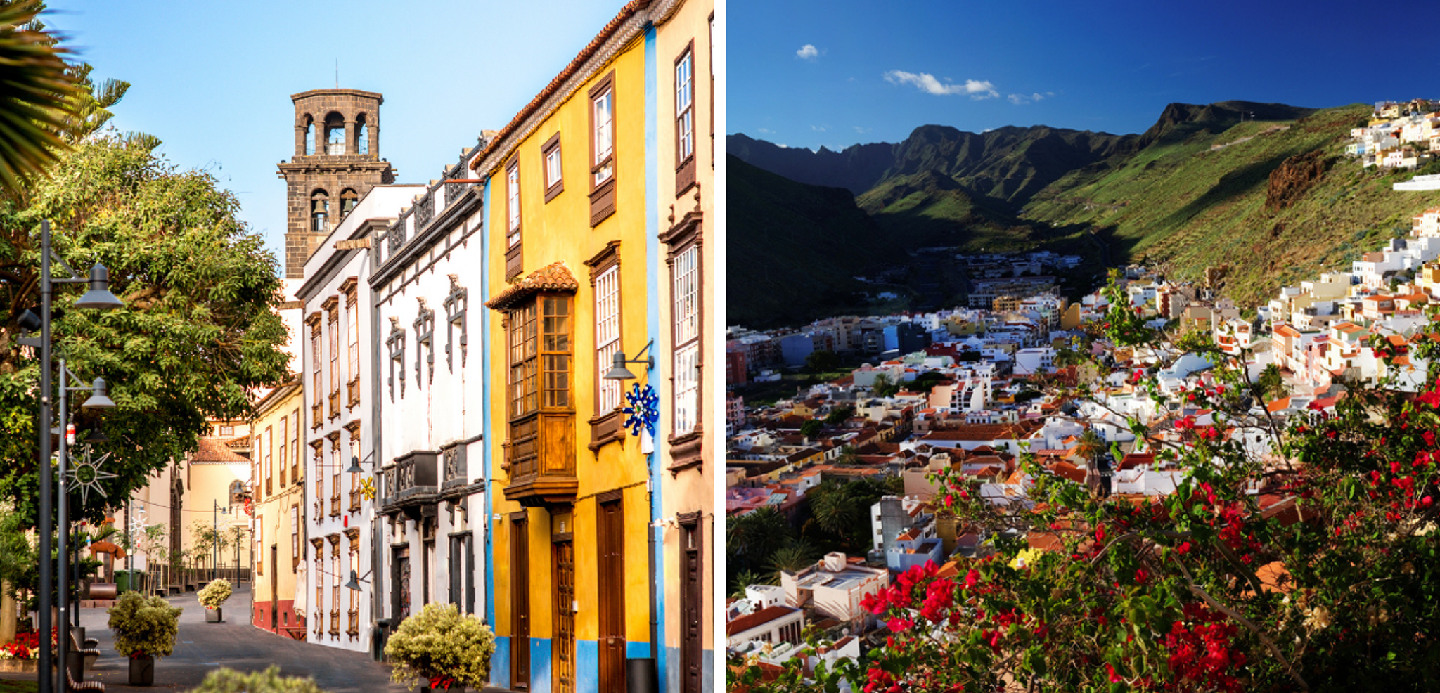 Aux couleurs éclatantes !