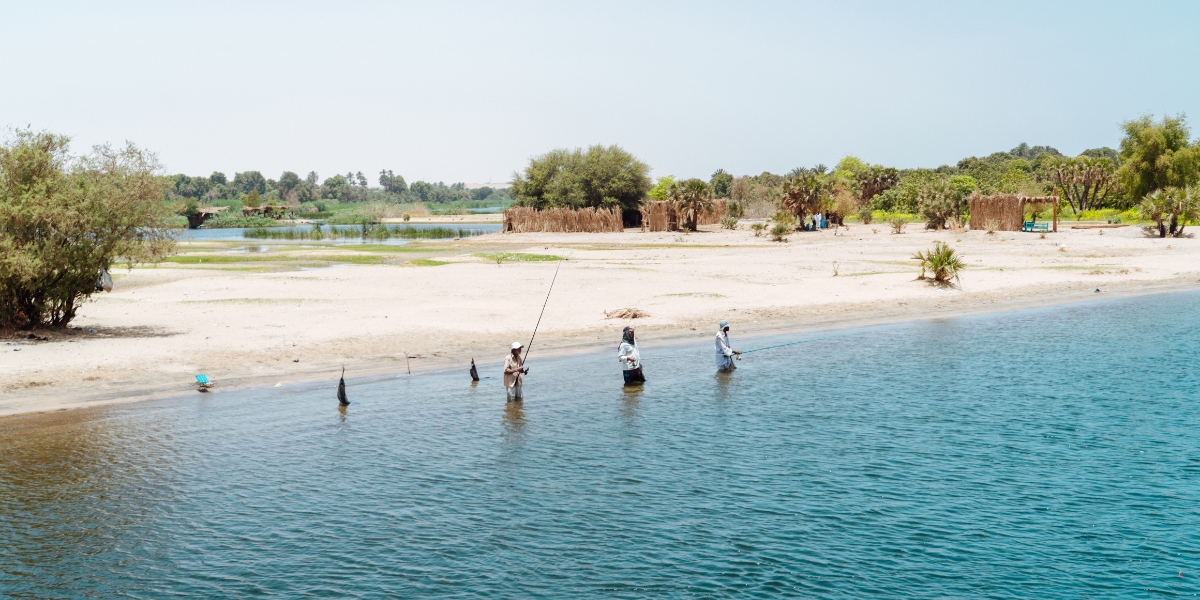 Égypte ©Maxime Moreau 