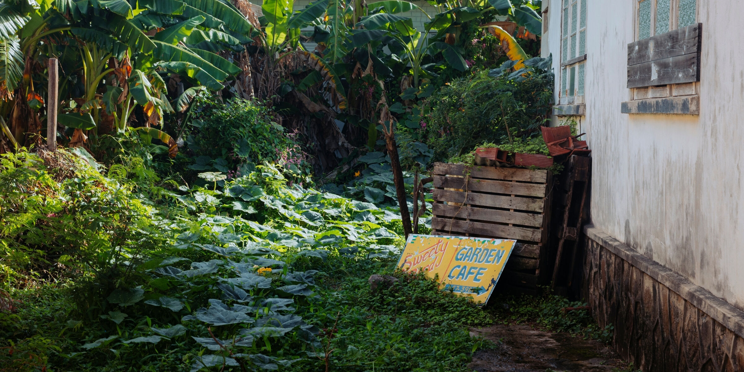 Bequia, Saint-Vincent-et-les-Grenadines ©Julien Fabro