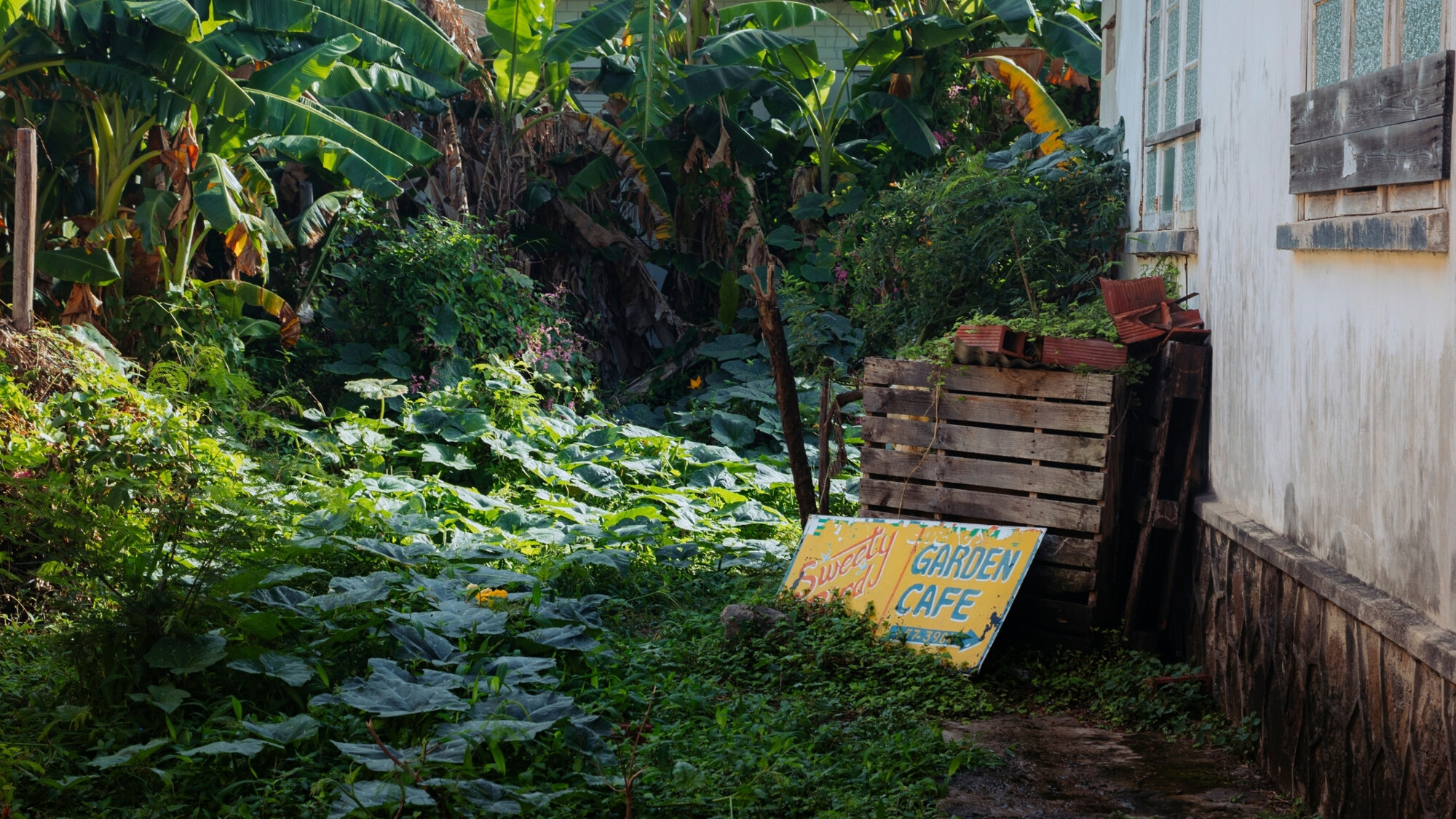 Bequia, Saint-Vincent-et-les-Grenadines ©Julien Fabro
