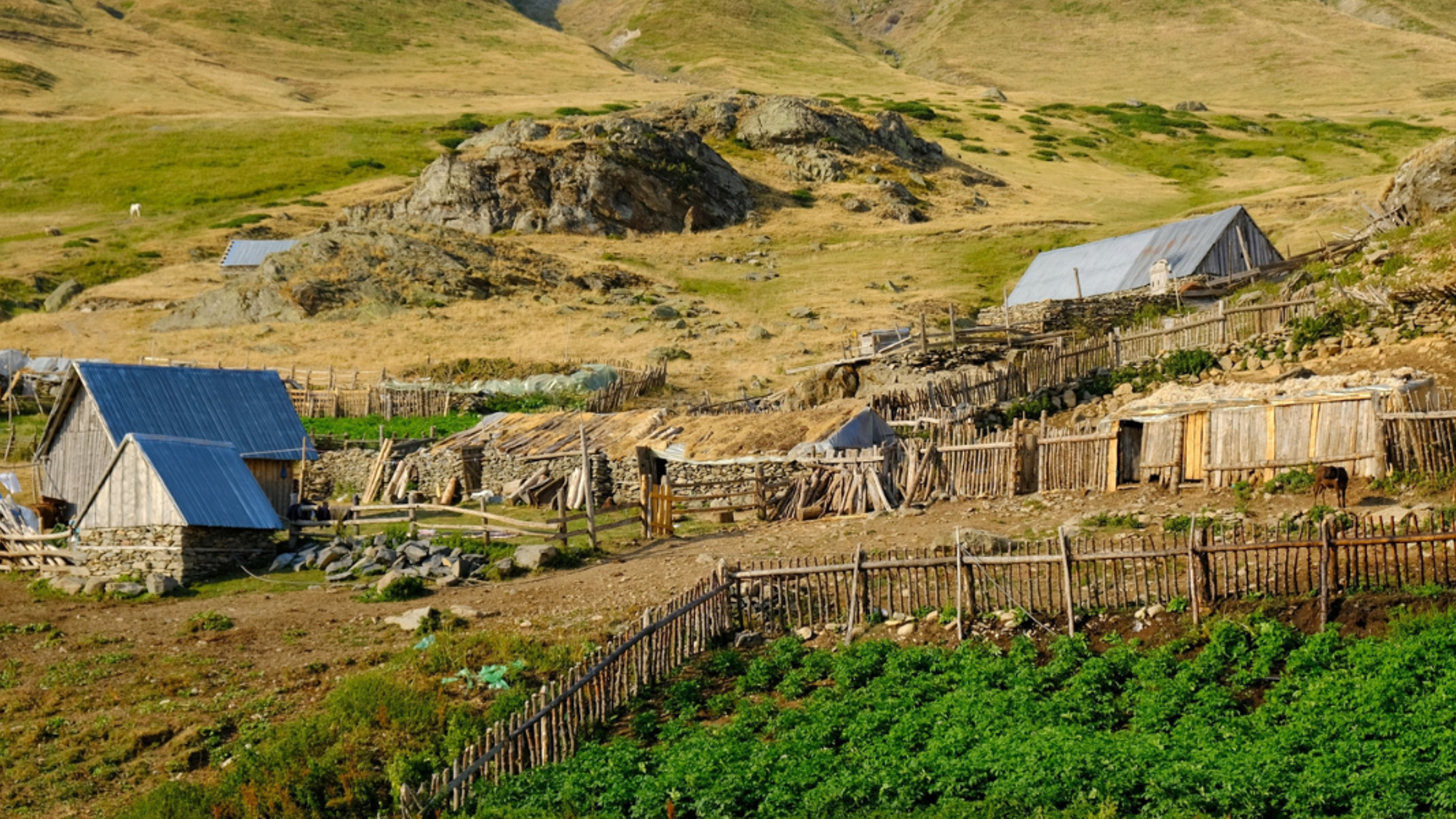 Une nuit dans une cabane de bergers à Dobërdol - jour 5
