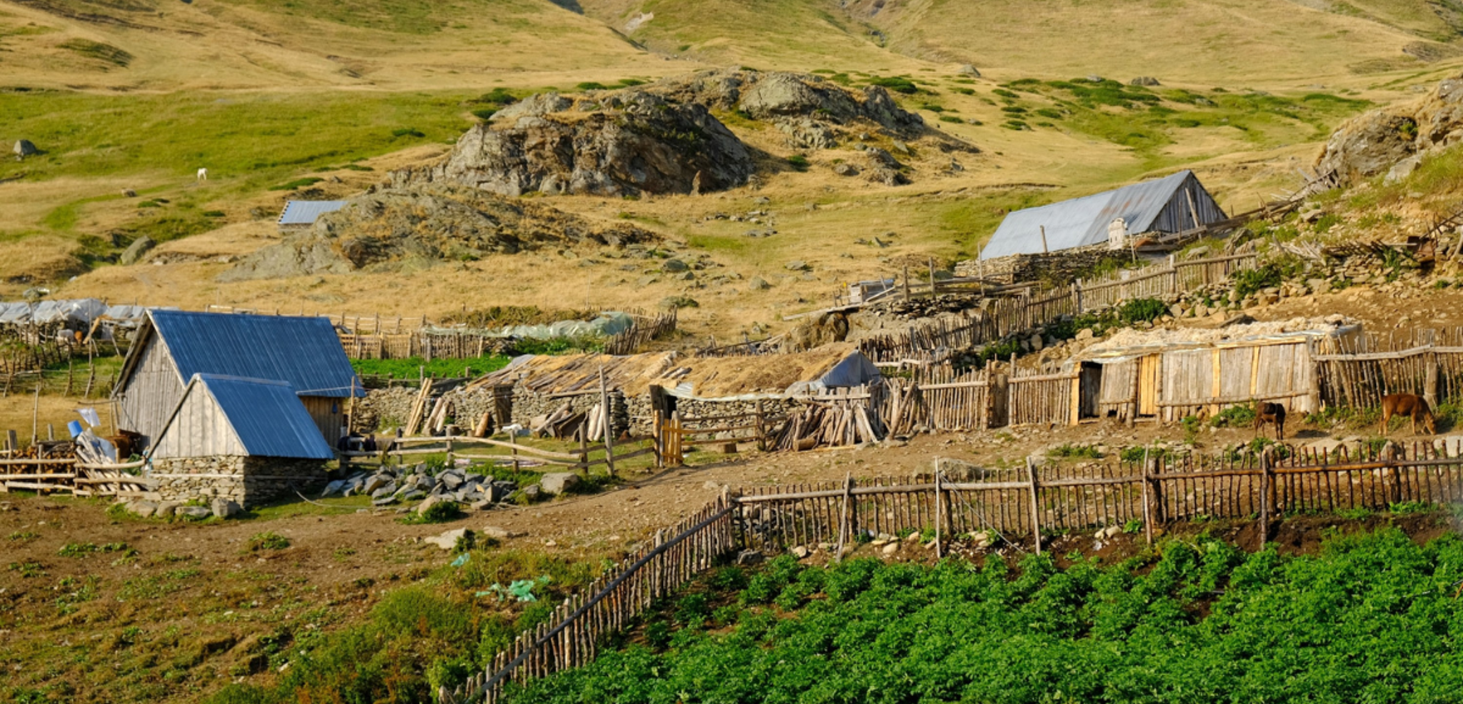Une nuit dans une cabane de bergers à Dobërdol - jour 5