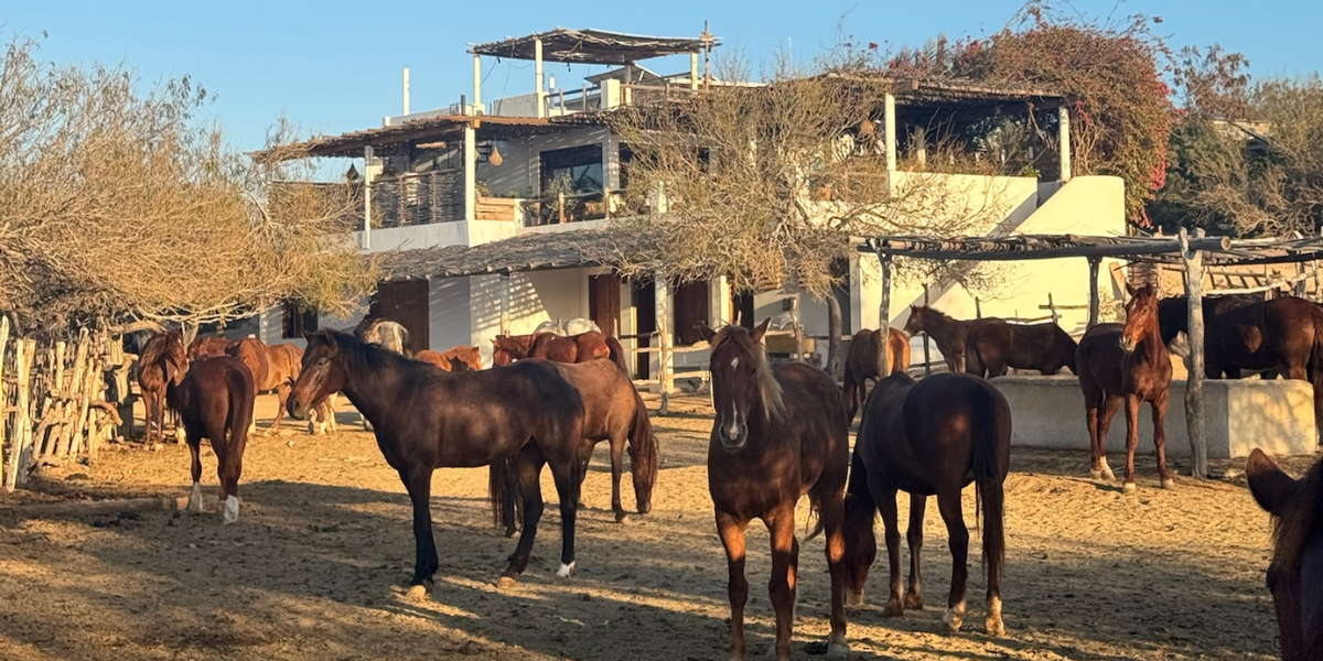 La vie de ranch t’attend pour une journée en mode cow-boy - jour 10  