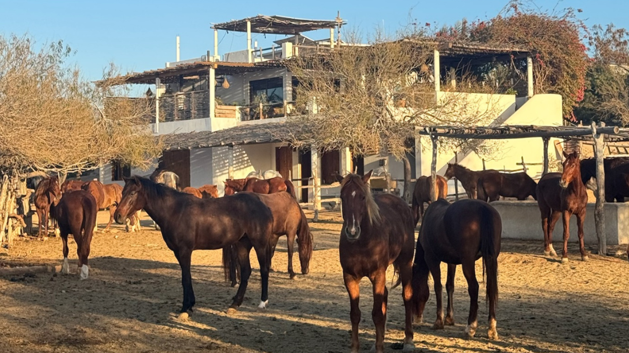 La vie de ranch t’attend pour une journée en mode cow-boy - jour 10