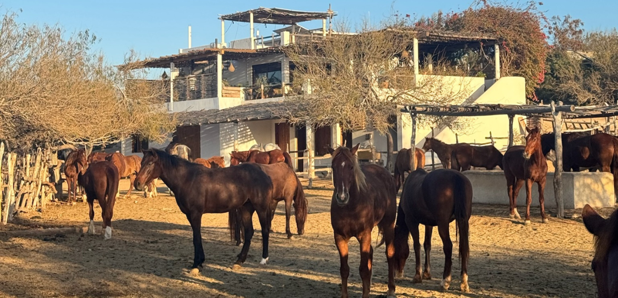 La vie de ranch t’attend pour une journée en mode cow-boy - jour 10
