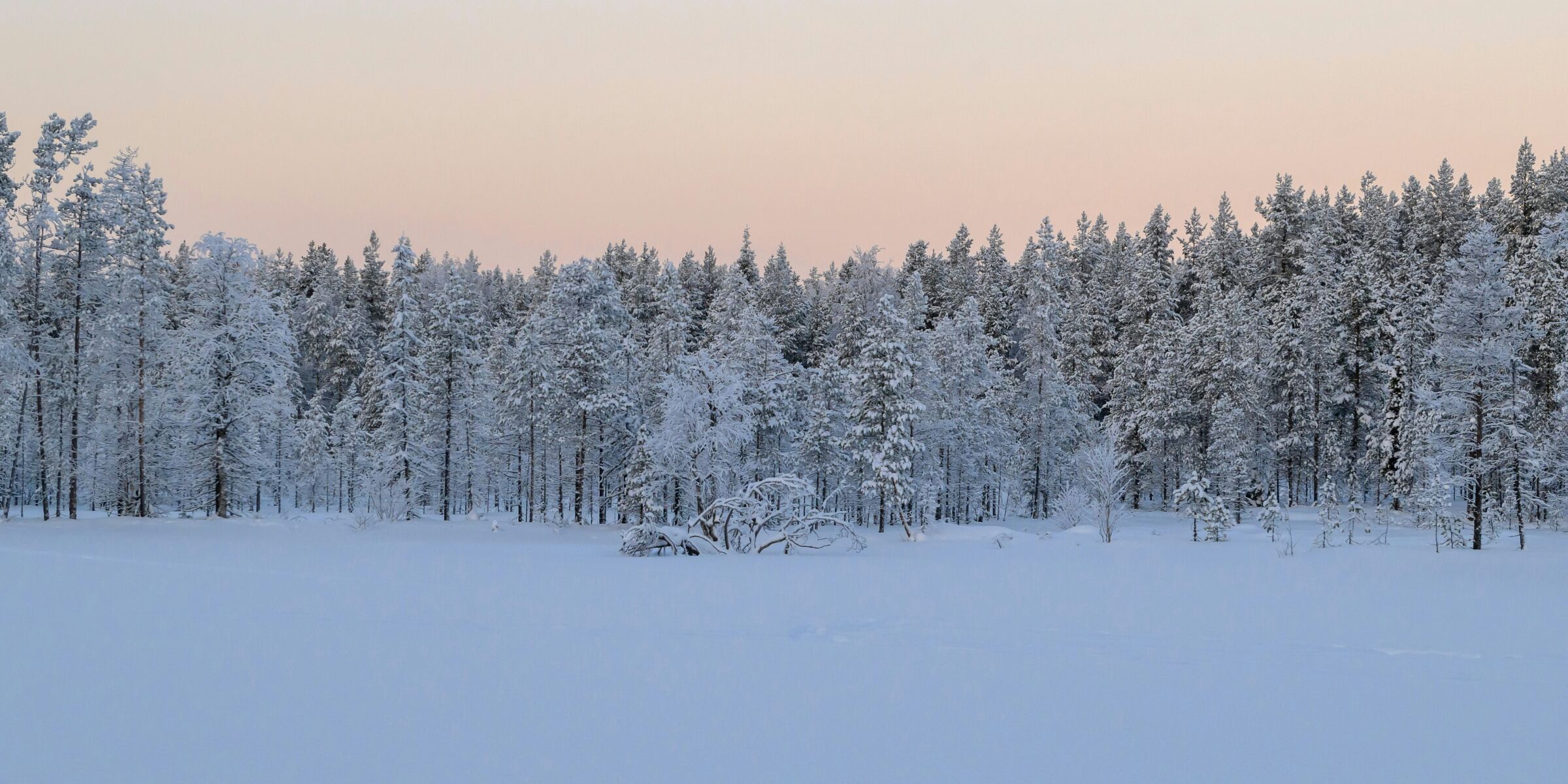 Parc national de Salla, Finlande ©Felix Rottmann / Unsplash