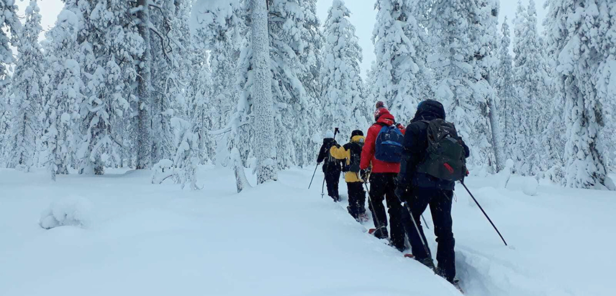 Une balade en raquettes - jour 6