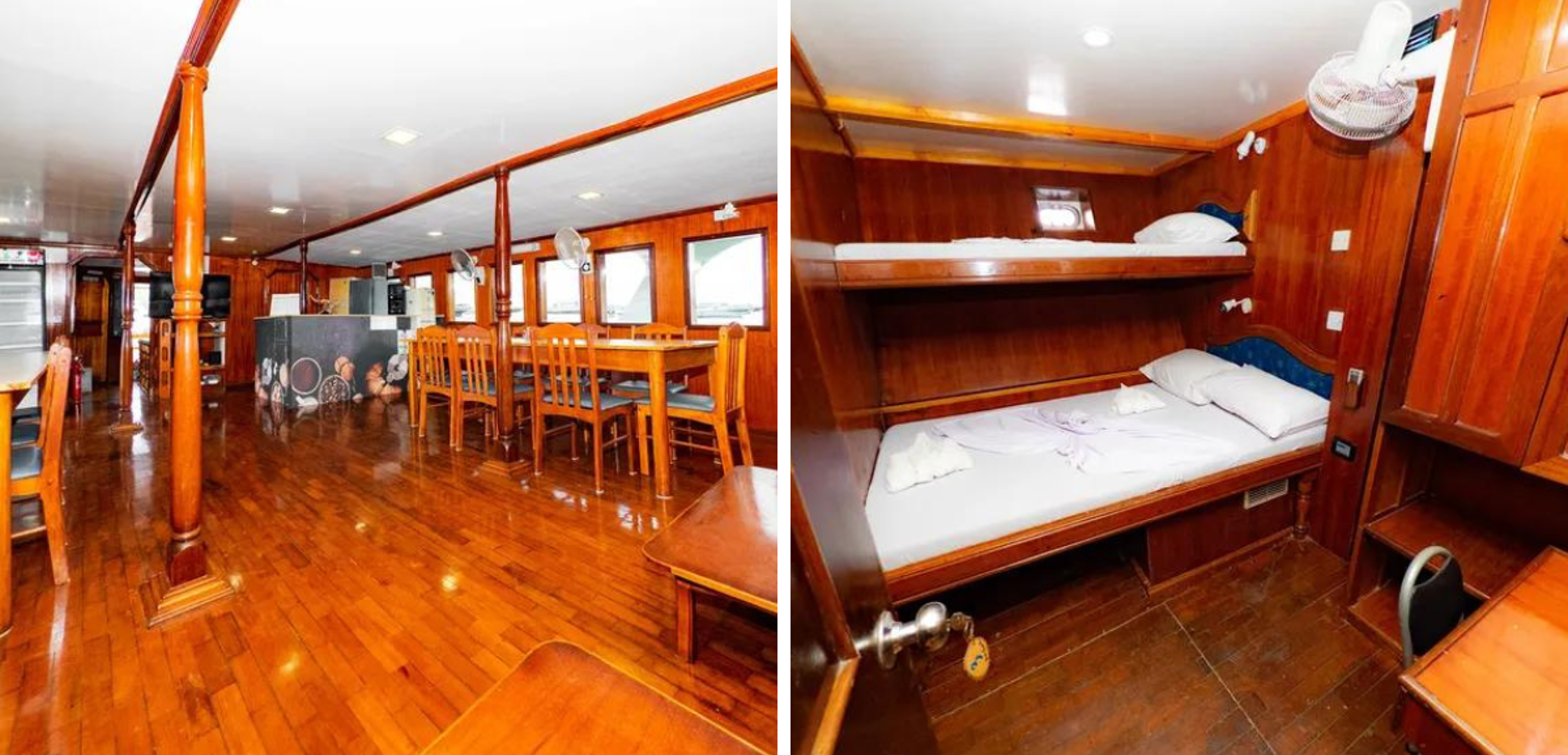 Des espaces de vie confortables et une cabine à partager : le Blue Shark I (ou similaire)