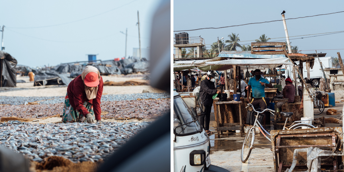 Scène de vie locale au fish market