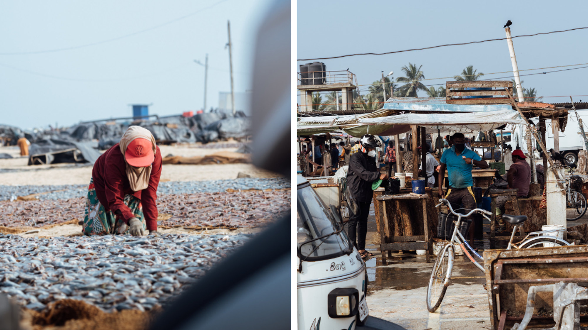 Scène de vie locale au fish market