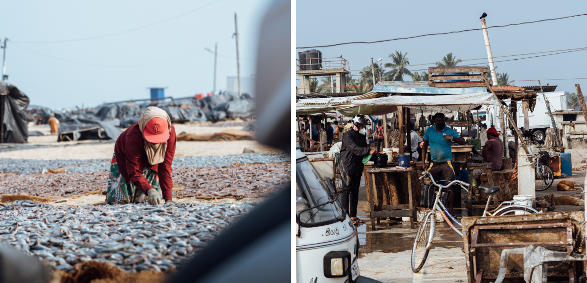 Scène de vie locale au fish market