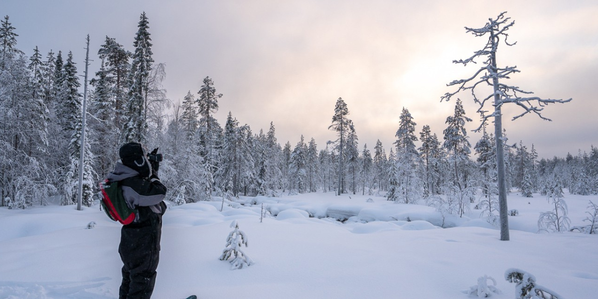 Observez la faune locale lors d'une expédition