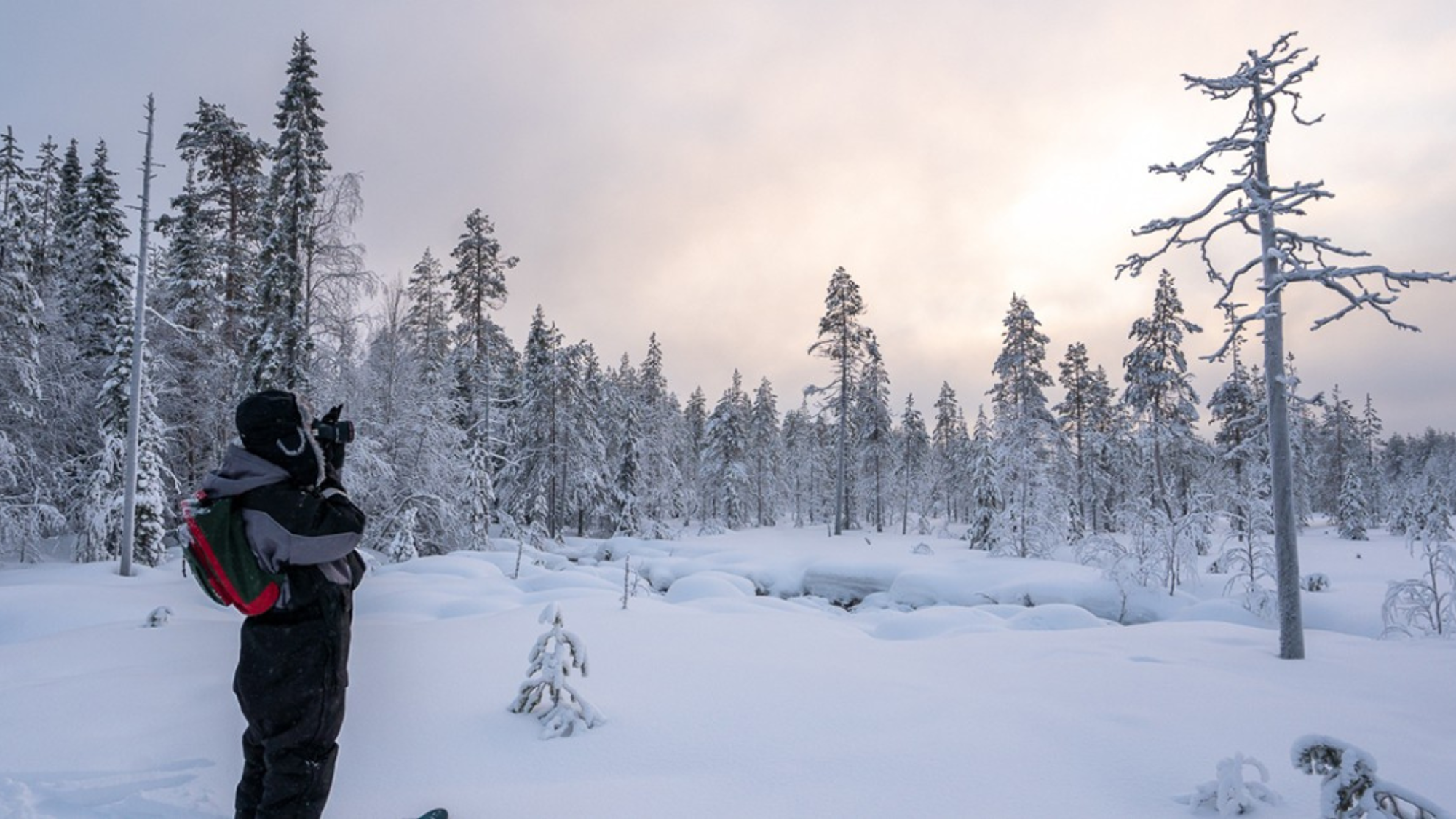 Observez la faune locale lors d'une expédition