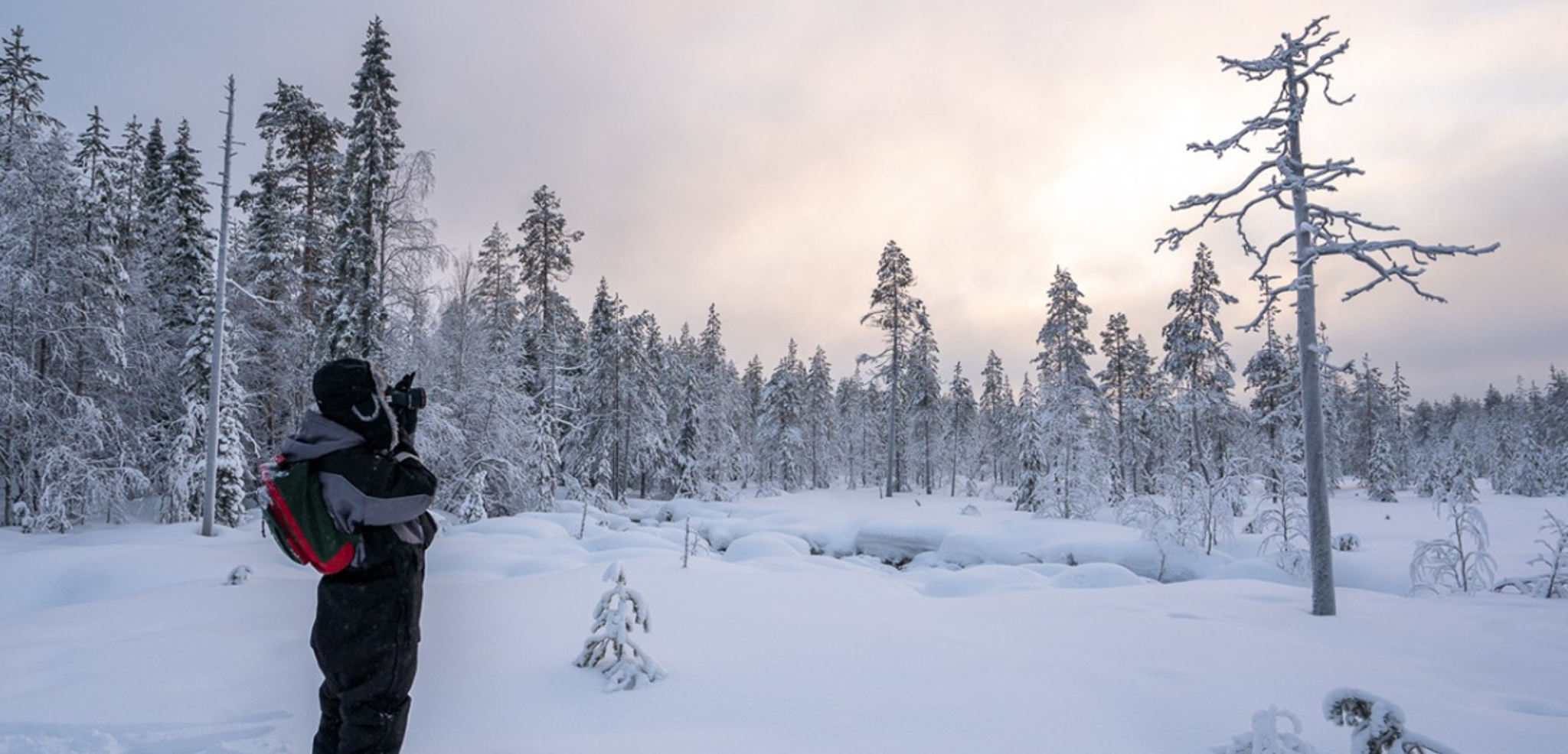 Observez la faune locale lors d'une expédition