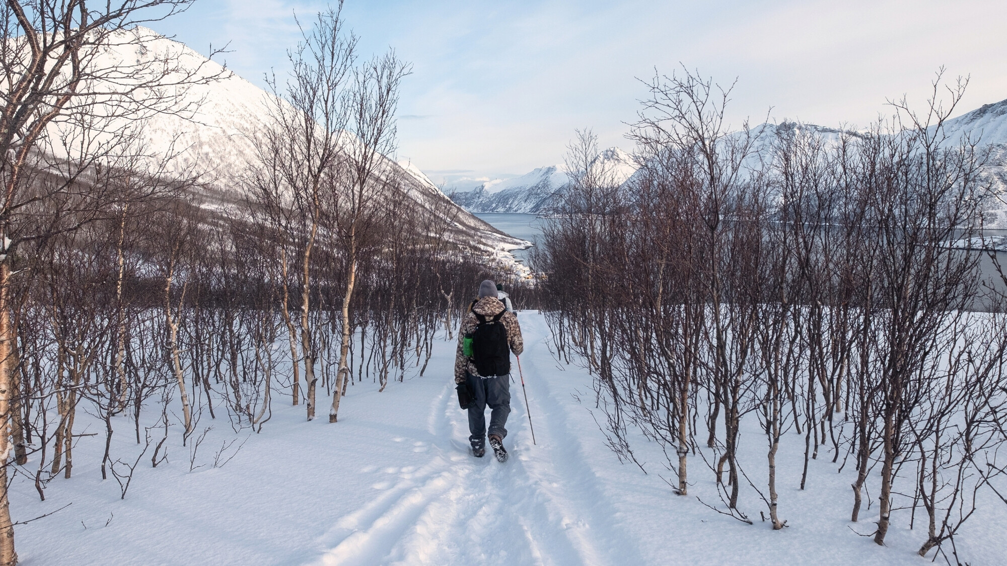 Randonnée, Senja, Norvège ©Shutterstock.com
