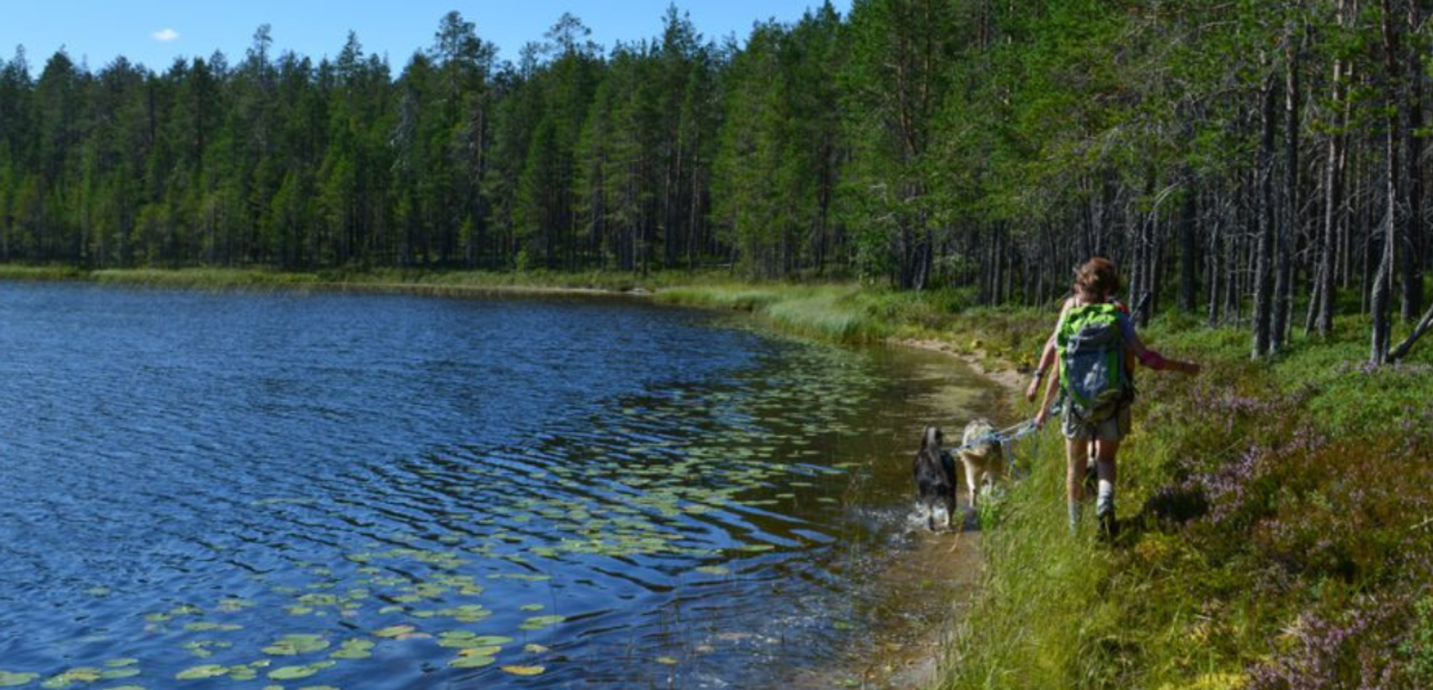 Lors d'une cani-rando