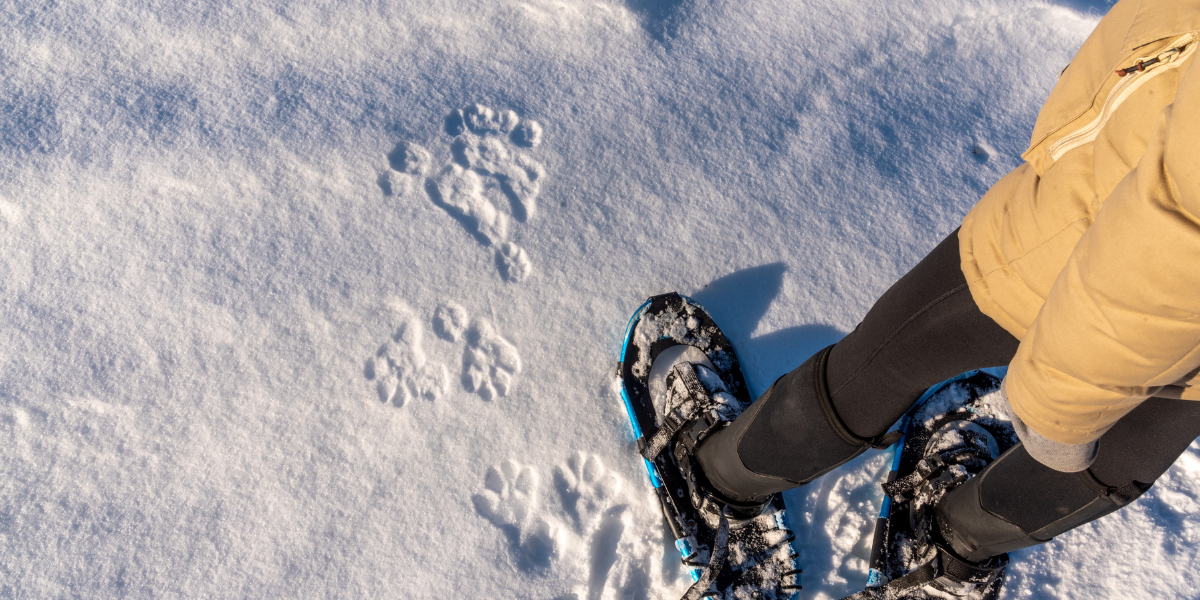 Débusquez les empreintes