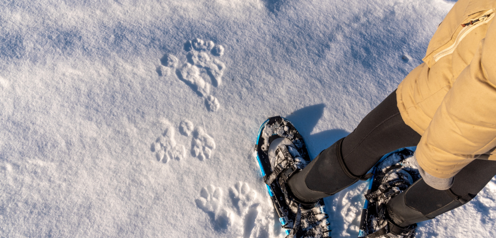 Débusquez les empreintes