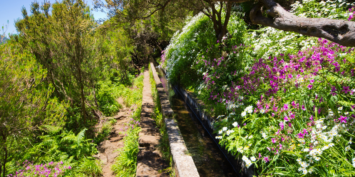 Le long des levada, canaux d'irrigation typiques de l'île