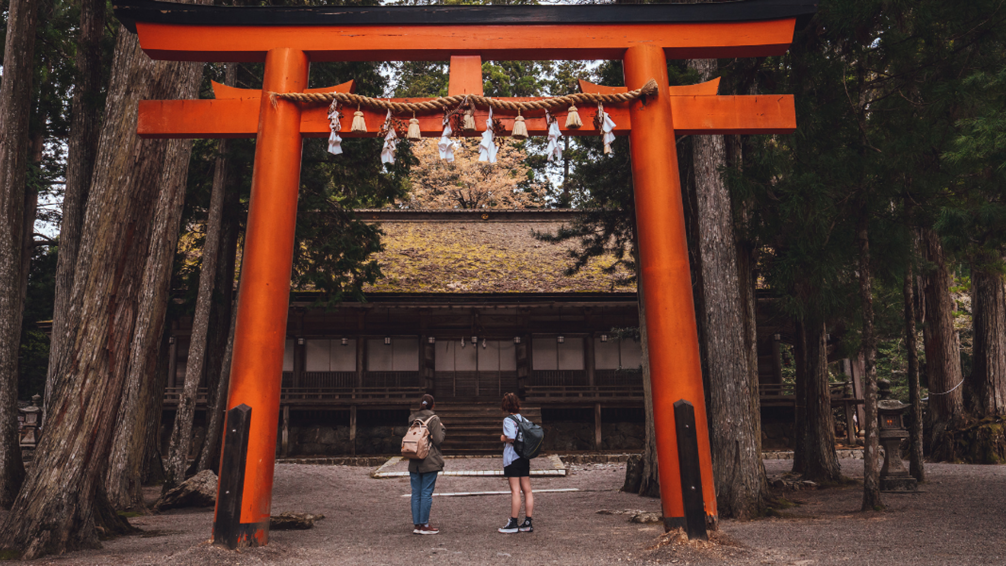 Le Japon vous tend les bras !